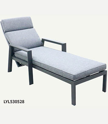LYL530528
